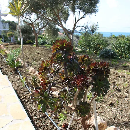 Aparthotel Oskars & 4*