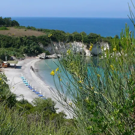 Oskars & 4* Lassi (Kefalonia)