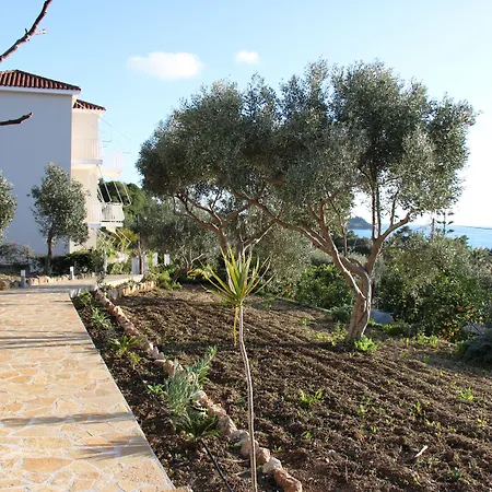 Lägenhetshotell Oskars & Lassi (Kefalonia)